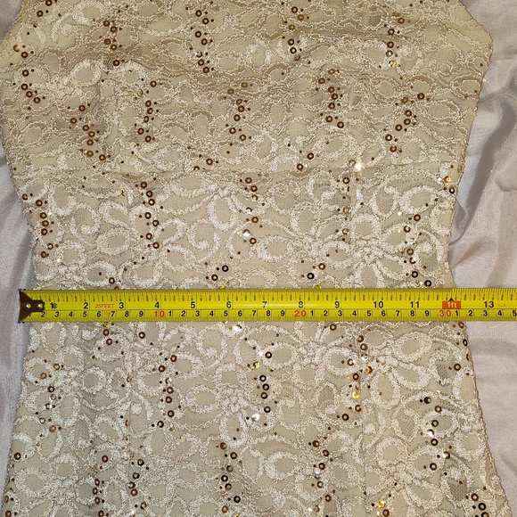 🔥 Beverly Hills Evening Formal Lace Gown  : Embellished Sequin Lace Gown - Picture 10 of 12